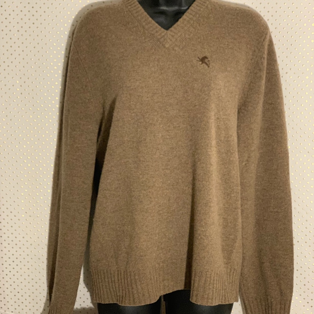 Express Lambswool V-Neck Sweater ~ Size S